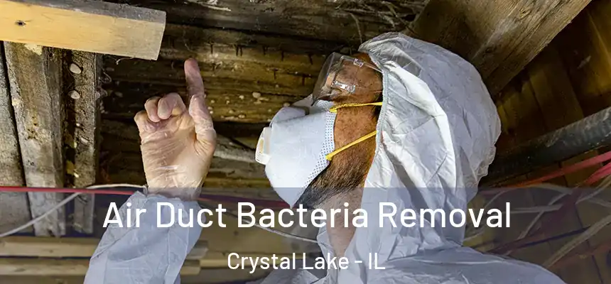  Air Duct Bacteria Removal Crystal Lake - IL