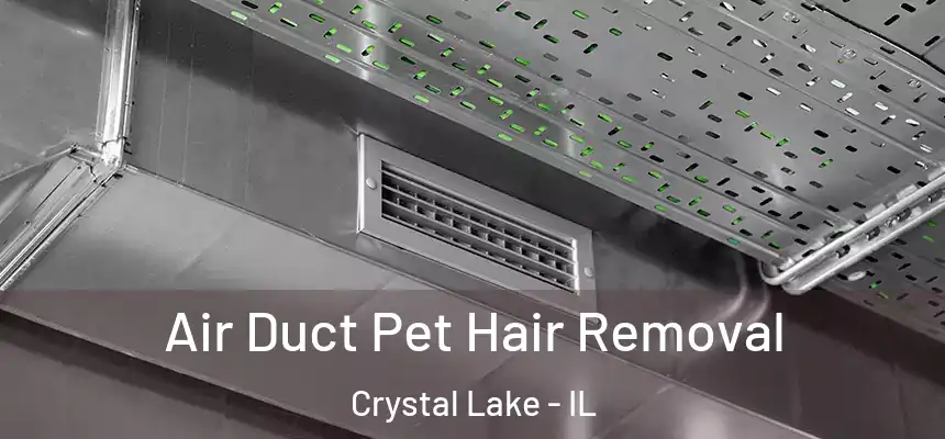  Air Duct Pet Hair Removal Crystal Lake - IL