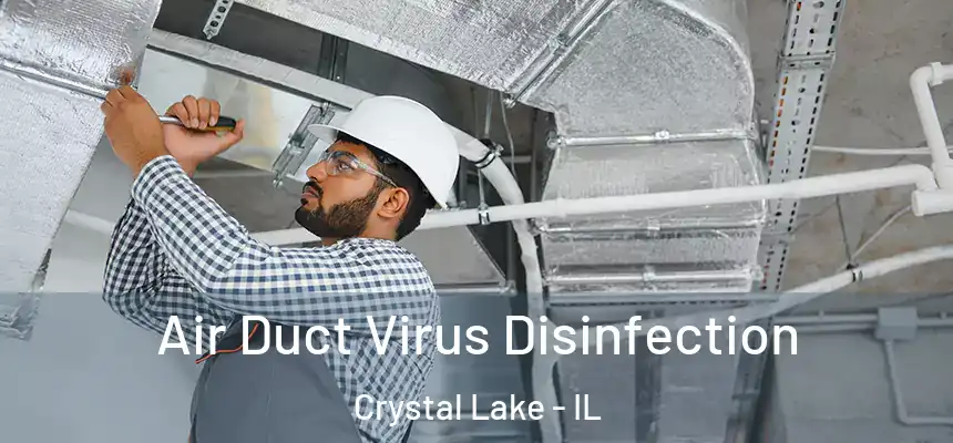  Air Duct Virus Disinfection Crystal Lake - IL