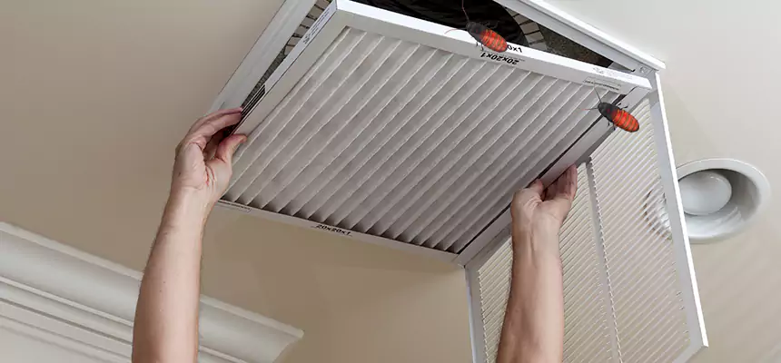 Our Insect Removal from Air Ducts Services in Crystal Lake, IL