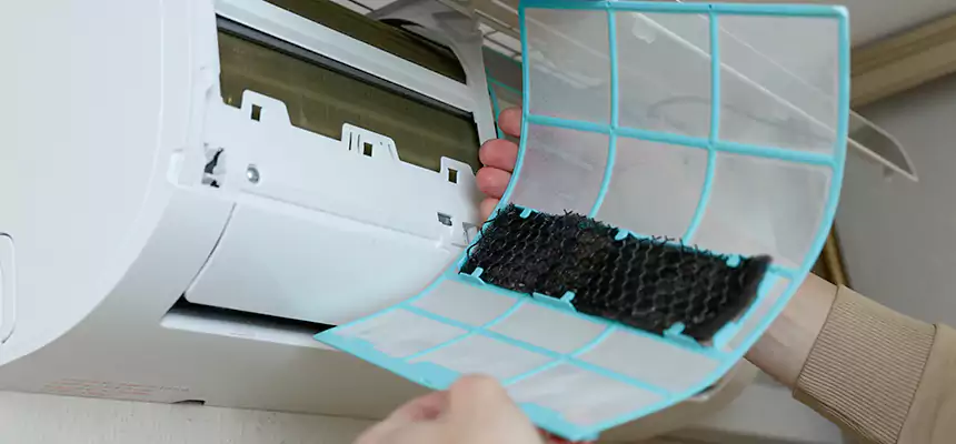 Gentle Ductwork Odor-Control Pet Dander Duct Cleaning in Crystal Lake, IL