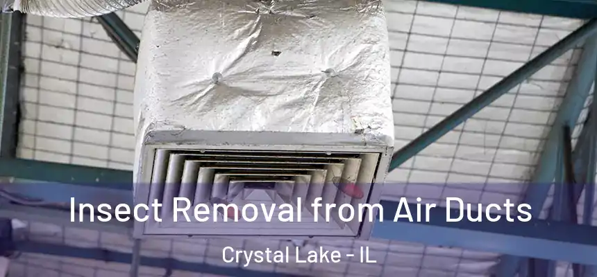  Insect Removal from Air Ducts Crystal Lake - IL