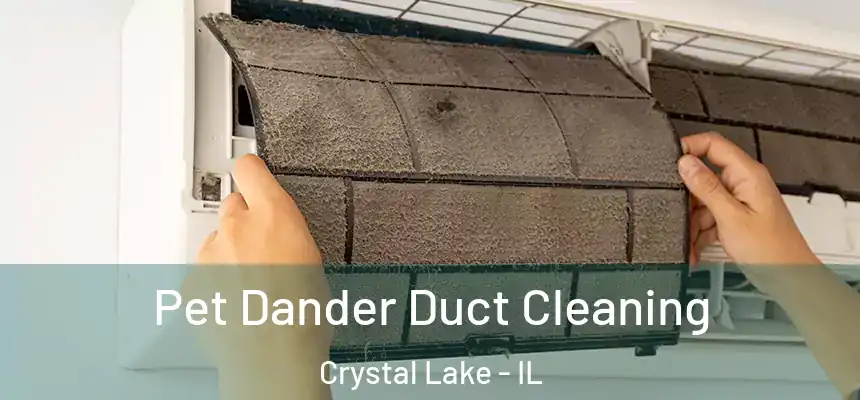  Pet Dander Duct Cleaning Crystal Lake - IL