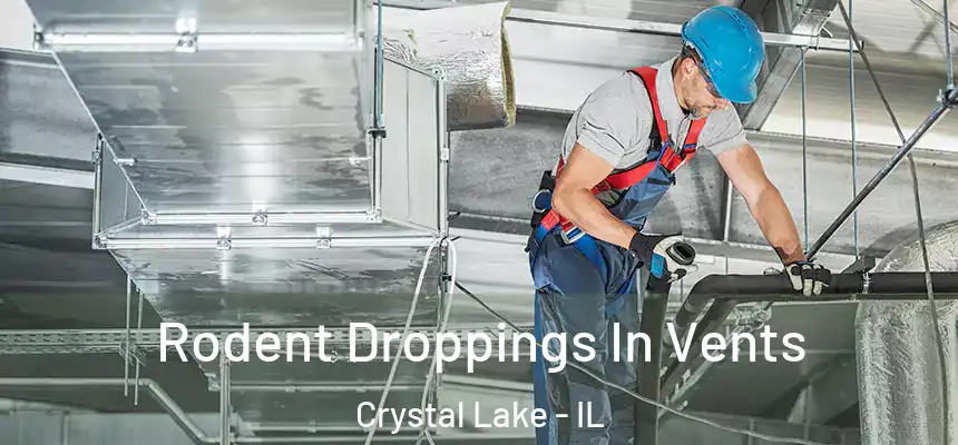  Rodent Droppings In Vents Crystal Lake - IL