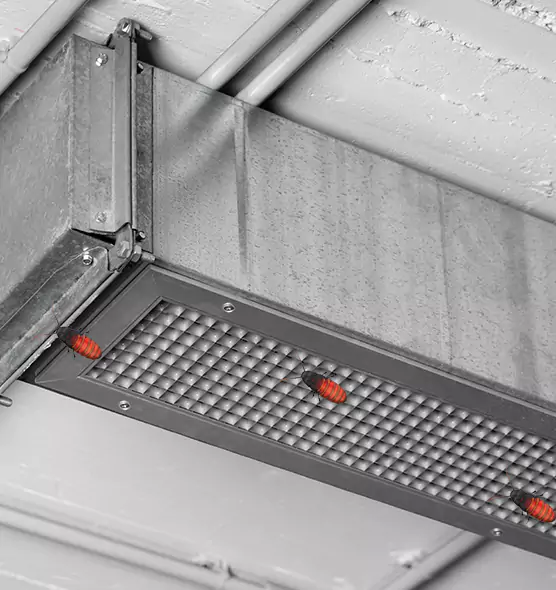 About Air Duct Cockroach Removal in Crystal Lake, IL
