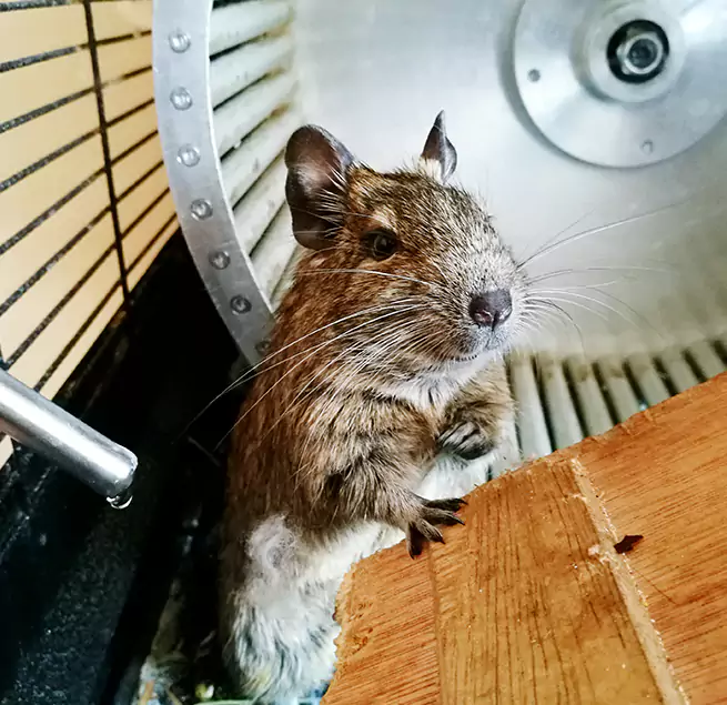 Why Homeowners & Businesses Trust Us Crystal Lake, IL