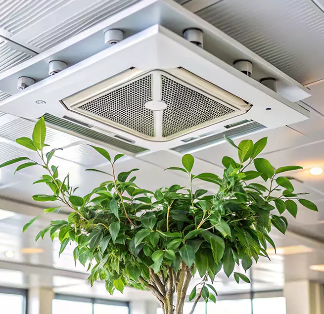 Why Homeowners & Businesses Trust Us in Crystal Lake, IL?